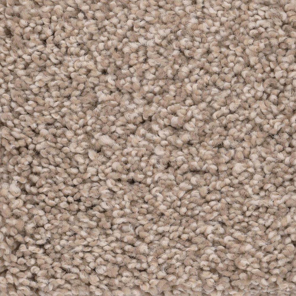 Anderson Tuftex Caress by Shaw Cozy Harbor II Carpet in Natural Beauty, , large