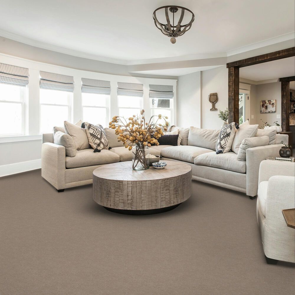 Karastan Eminent Elements Carpet in Baker, , large