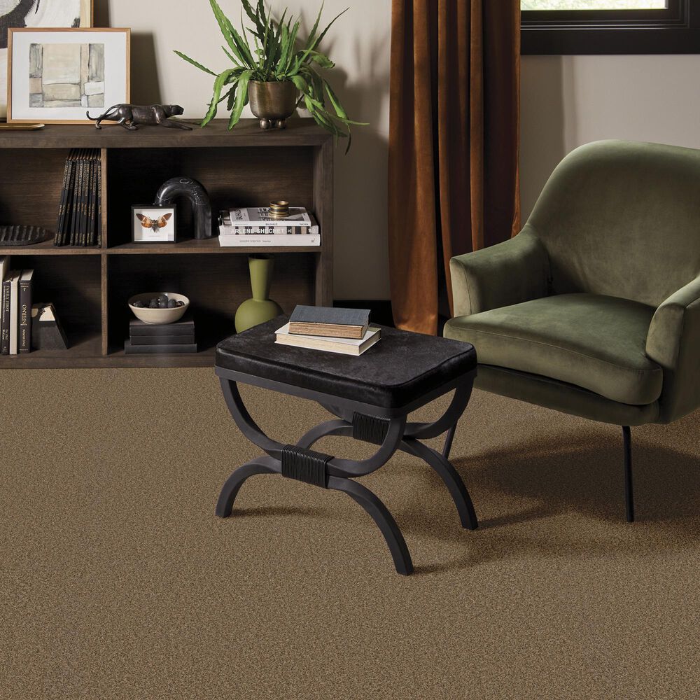 Anderson Tuftex Wyndham Estate Carpet in Nutshell, , large