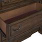 Sasha Lee Grand Teton Dresser Only in Warm Brown Oak, , large