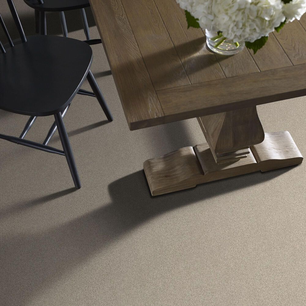 Shaw Comforting II Carpet in Shadow, , large
