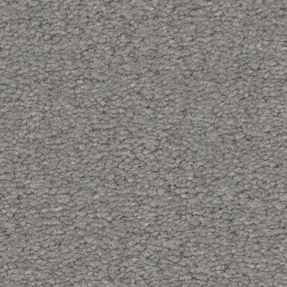 Anderson Tuftex Finery Carpet in Fish Hook, , large