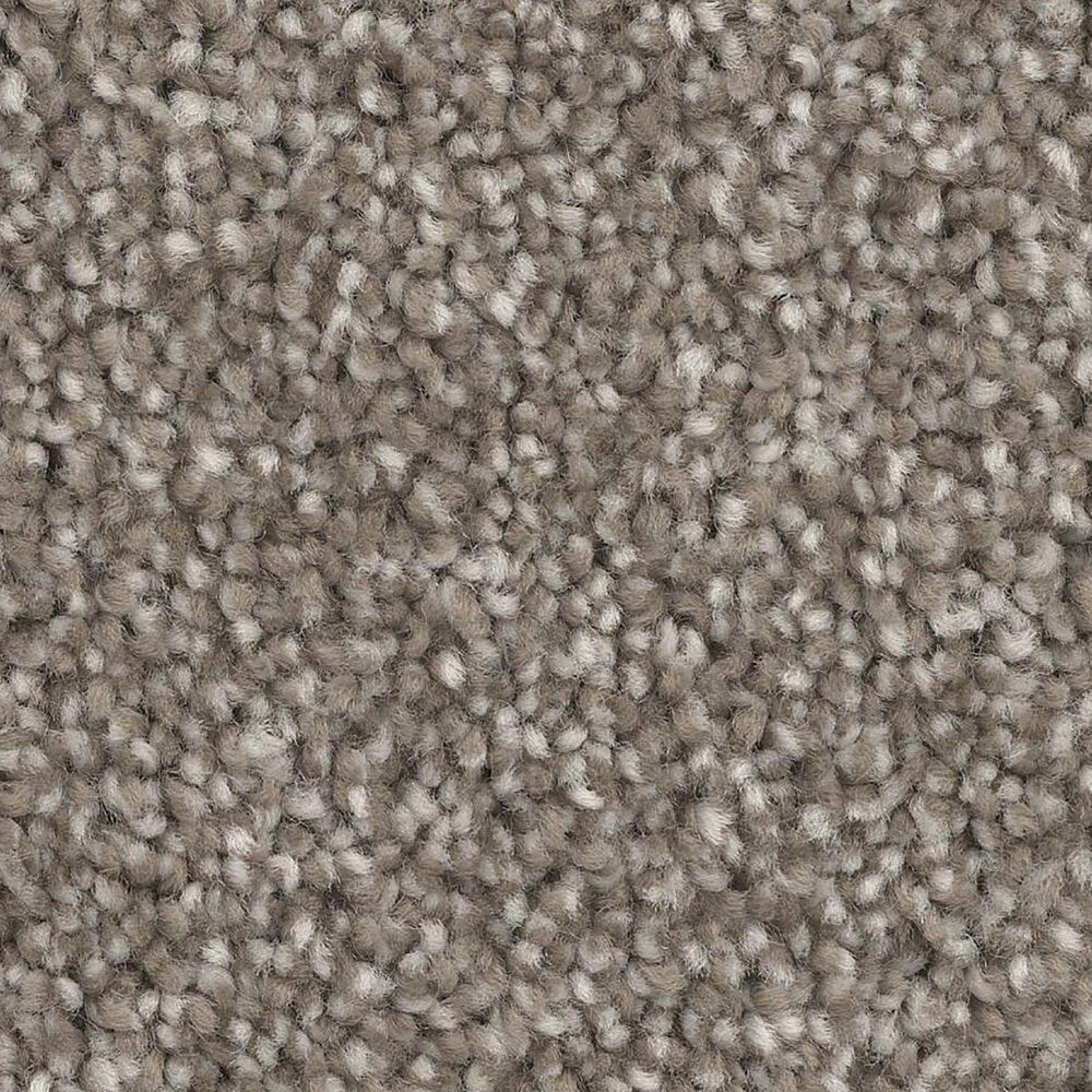 Dixie Home Dx835 Carpet in Fawn, , large