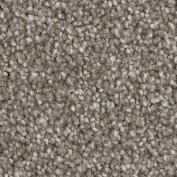 Dixie Home Dx835 Carpet in Fawn, , large