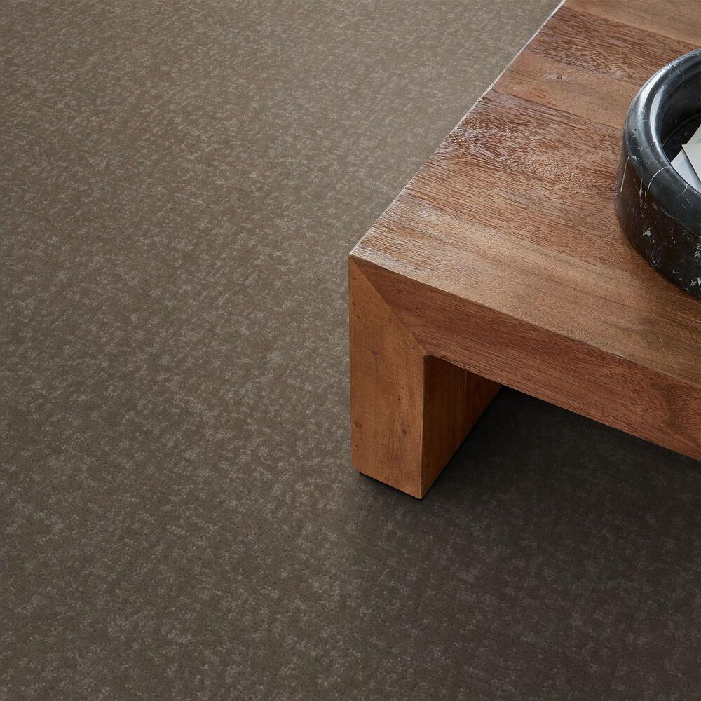 Shaw Home Within Carpet in Cameo, , large
