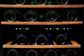 Frigidaire 4.4 Cu. Ft. Wine Cooler with Two Zone in Stainless Steel, , large