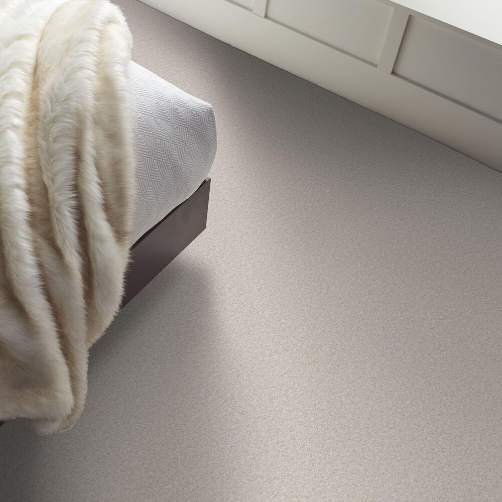 Shaw You Got This II Carpet in Snowfall, , large
