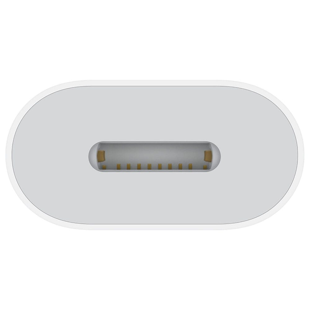 Apple USB-C to Lightning Adapter, , large