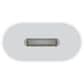 Apple USB-C to Lightning Adapter, , large