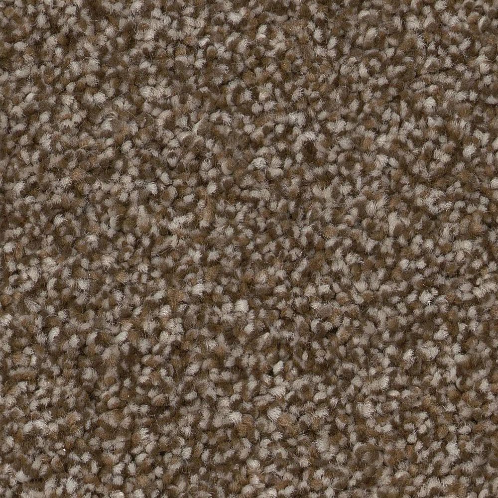 Shaw Trusplendor Carpet in Chestnut, , large