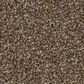 Shaw Trusplendor Carpet in Chestnut, , large