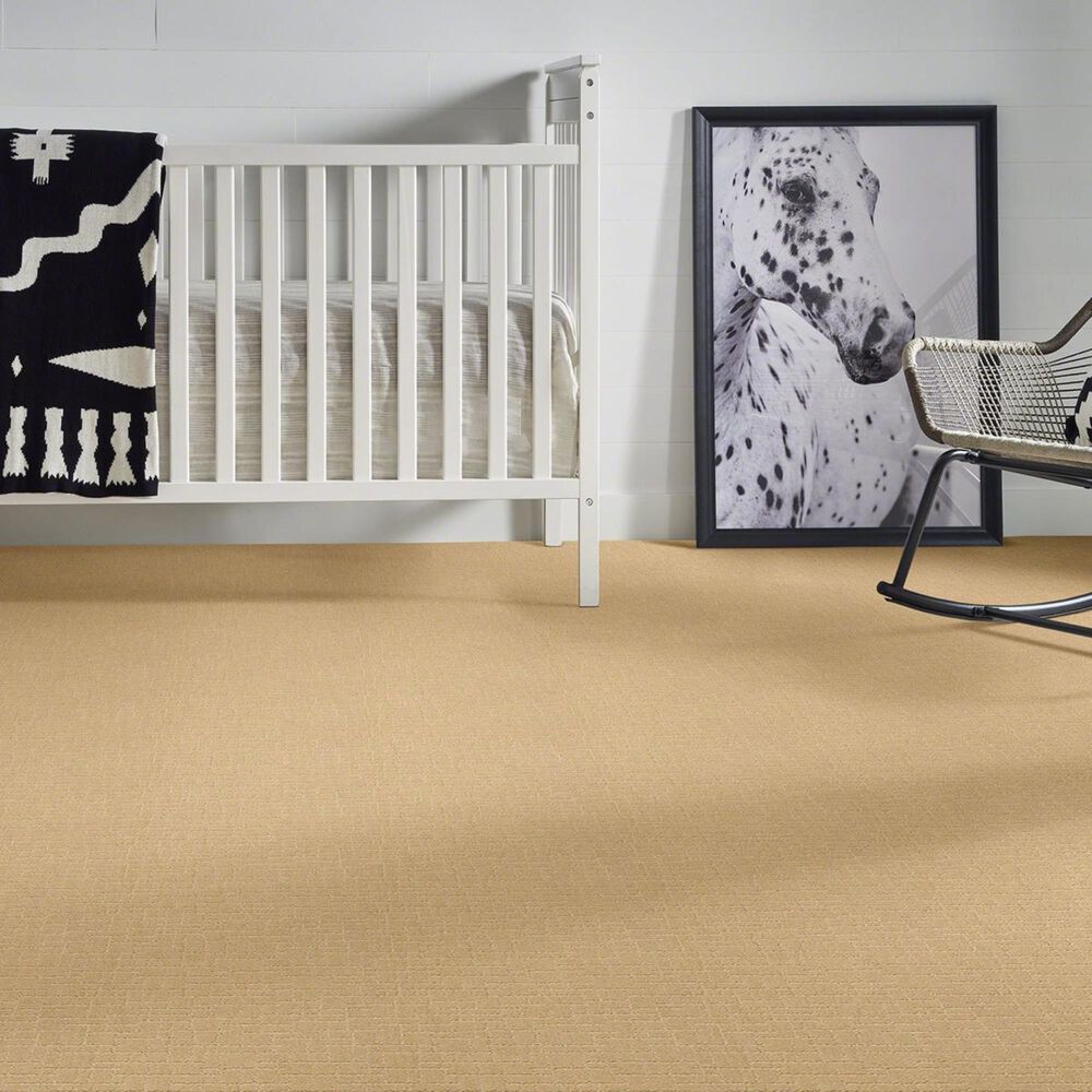 Anderson Tuftex New Tricks Carpet in Cork, , large