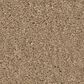 Anderson Tuftex Enchanting Carpet in Natural, , large