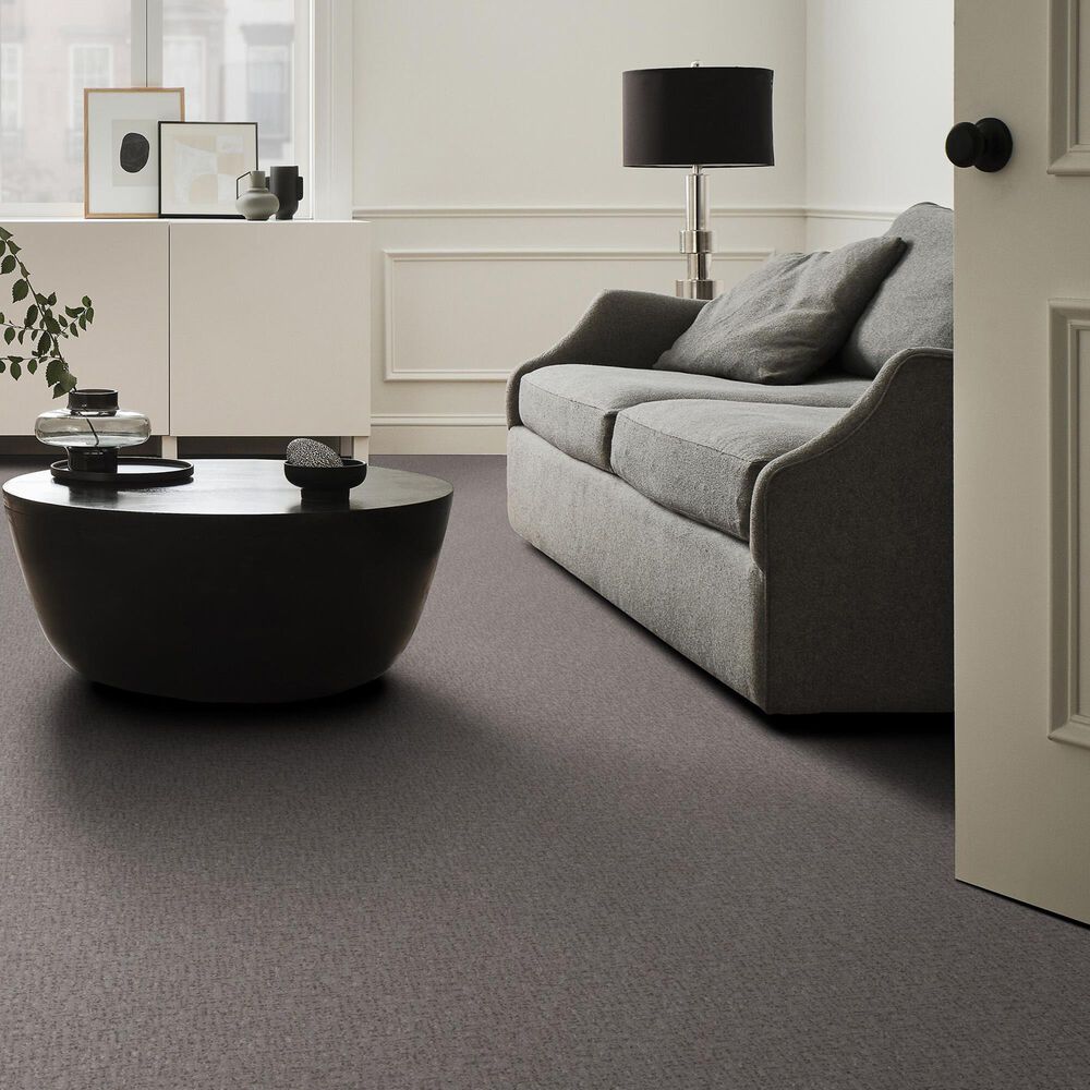 Anderson Tuftex Caboodle Carpet in Sensible, , large