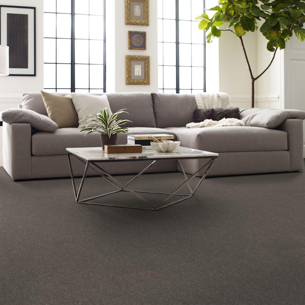 Shaw Hard At Play I Carpet in Ashes, , large