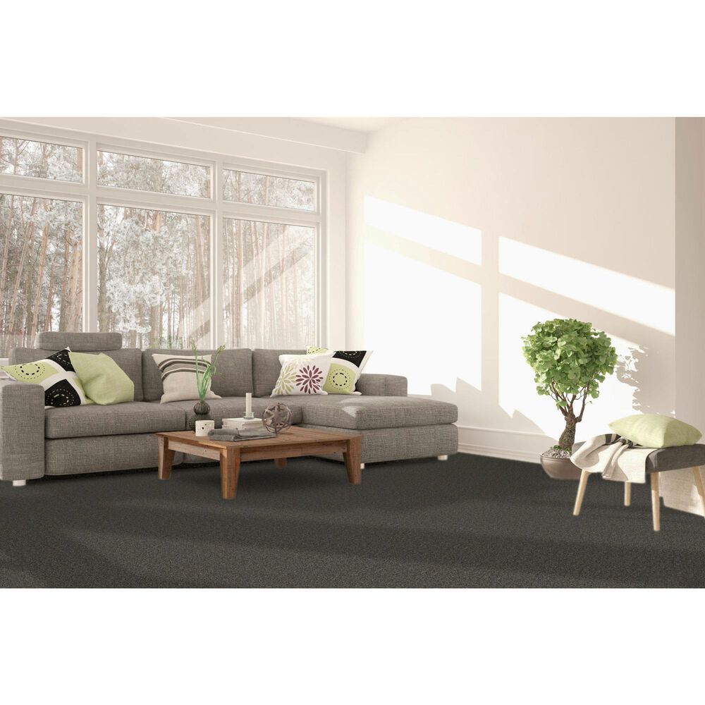 Dream Weaver Royale III Carpet in Burnt Amber, , large
