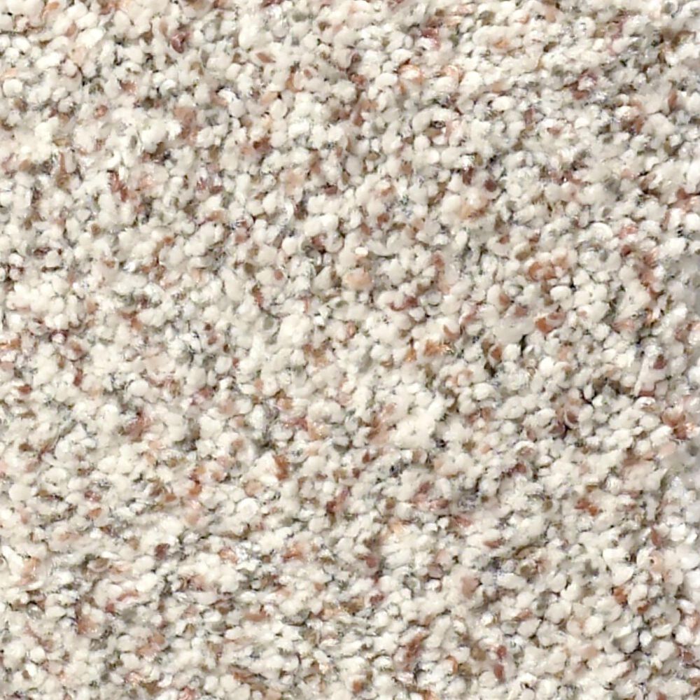 Shaw Find Your Comfort TA I Carpet in New Perspective, , large