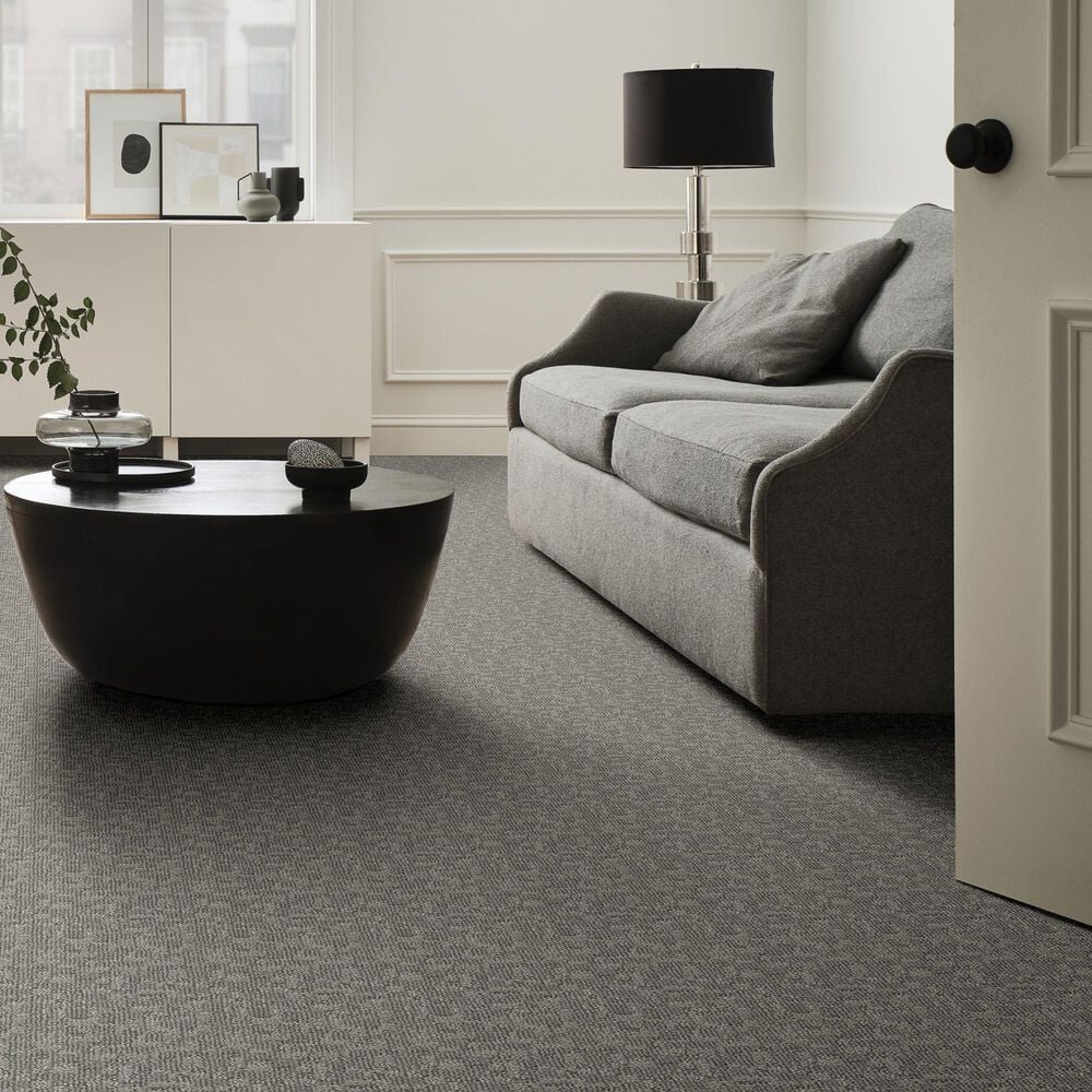 Anderson Tuftex Paw-Tay Carpet in Rockport, , large