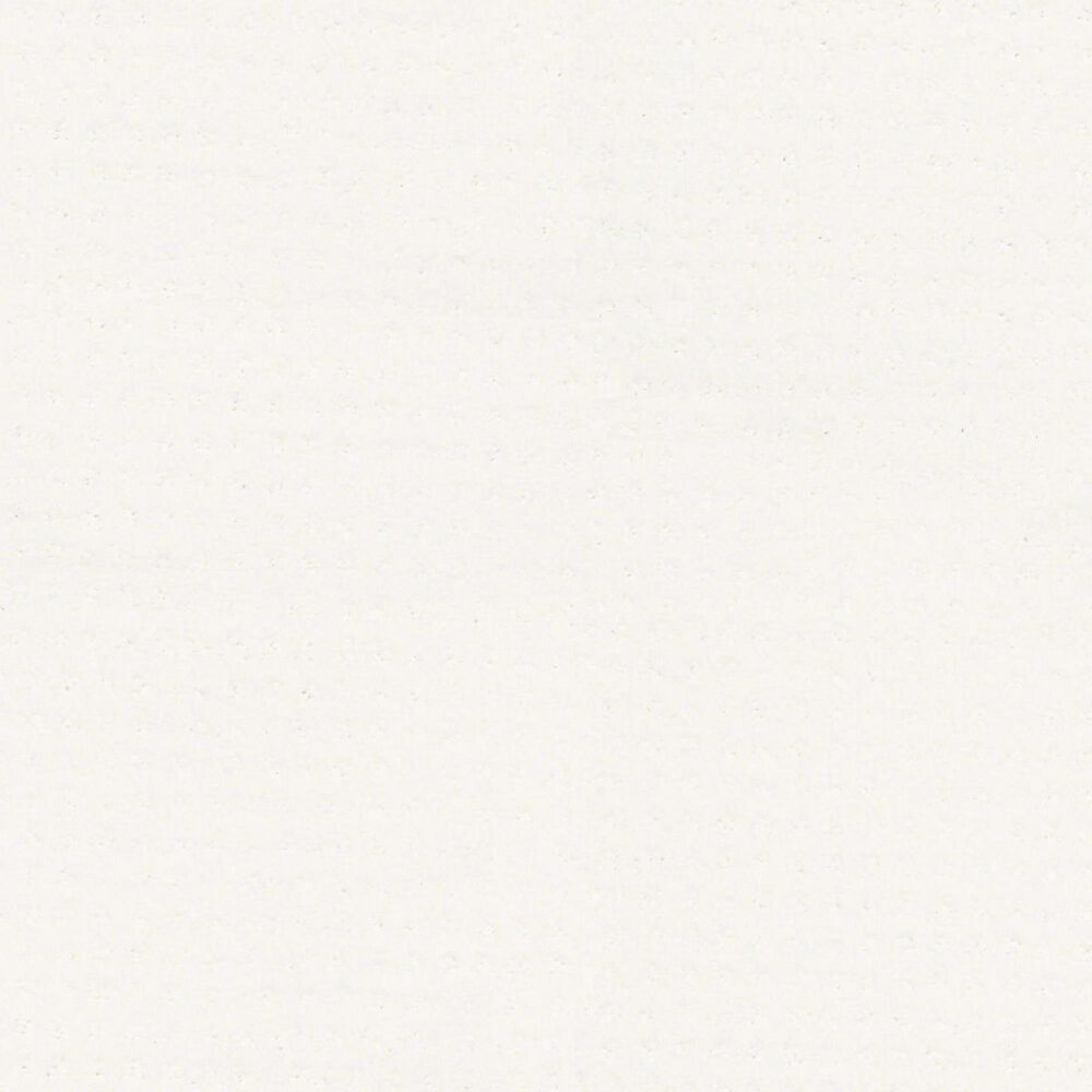 Shaw Perpetual Move Carpet in White Hot, , large