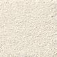Shaw Your Comfort I Carpet in Champagne Toast, , large