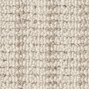 Anderson Tuftex Laken Carpet in Oyster Bar, , large