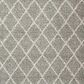 Nourison Brisbane BRI08 5" x 7" Ash Area Rug, , large