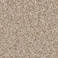 Shaw Imaginable III Carpet in Latte, , large