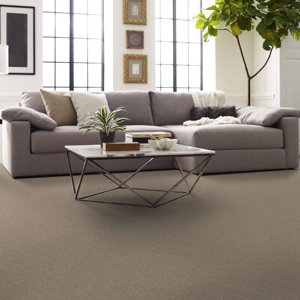 Shaw Your Comfort I Carpet in Dockside View, , large