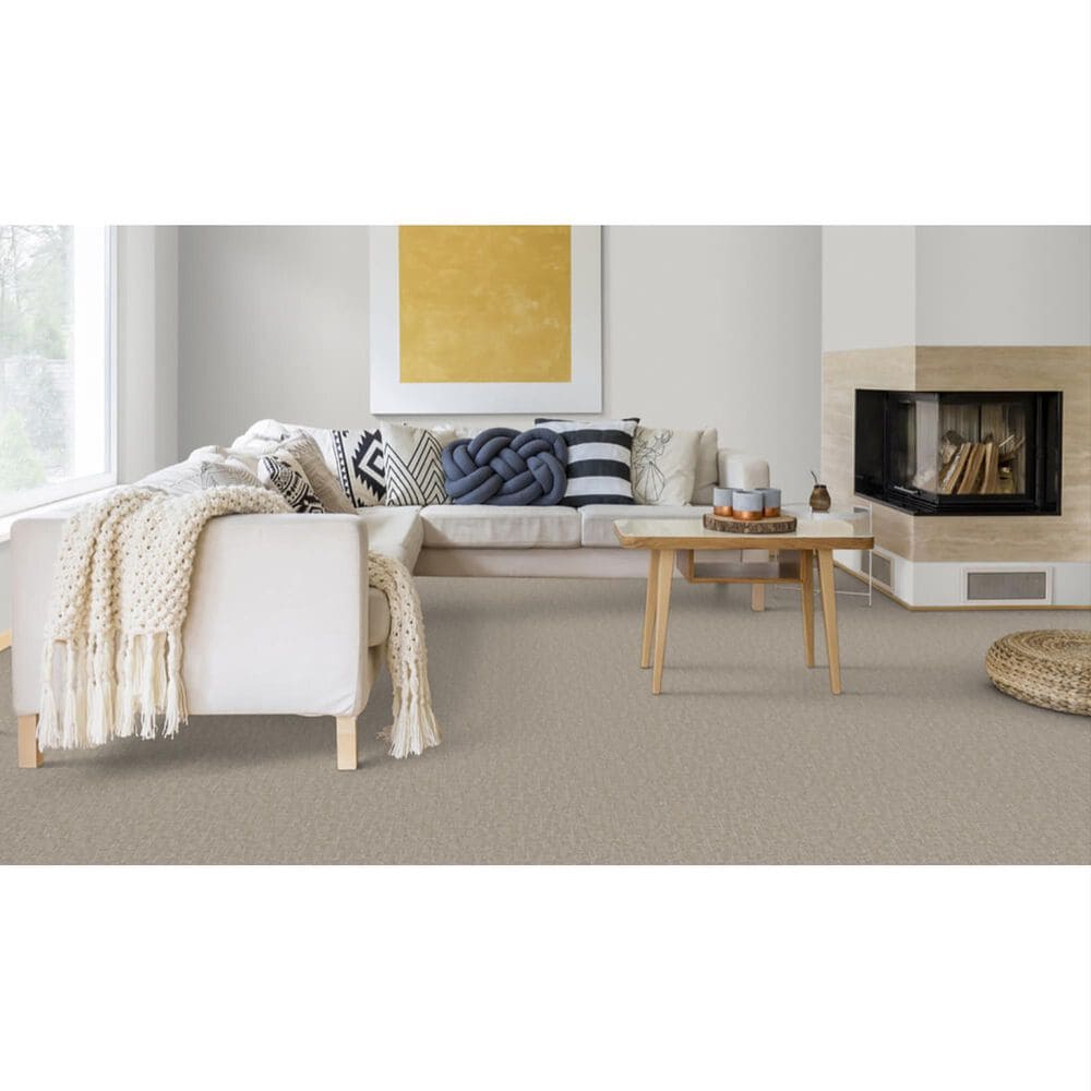 Dixie Home Crystal Oasis Carpet in Portobello, , large