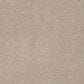 Karastan Sensational Allure Carpet in Sandy Cove, , large