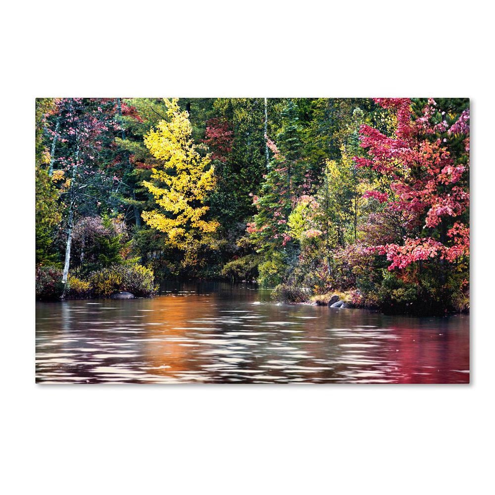 Timberlake David Ayash "Adirondacks" Canvas Art, , large