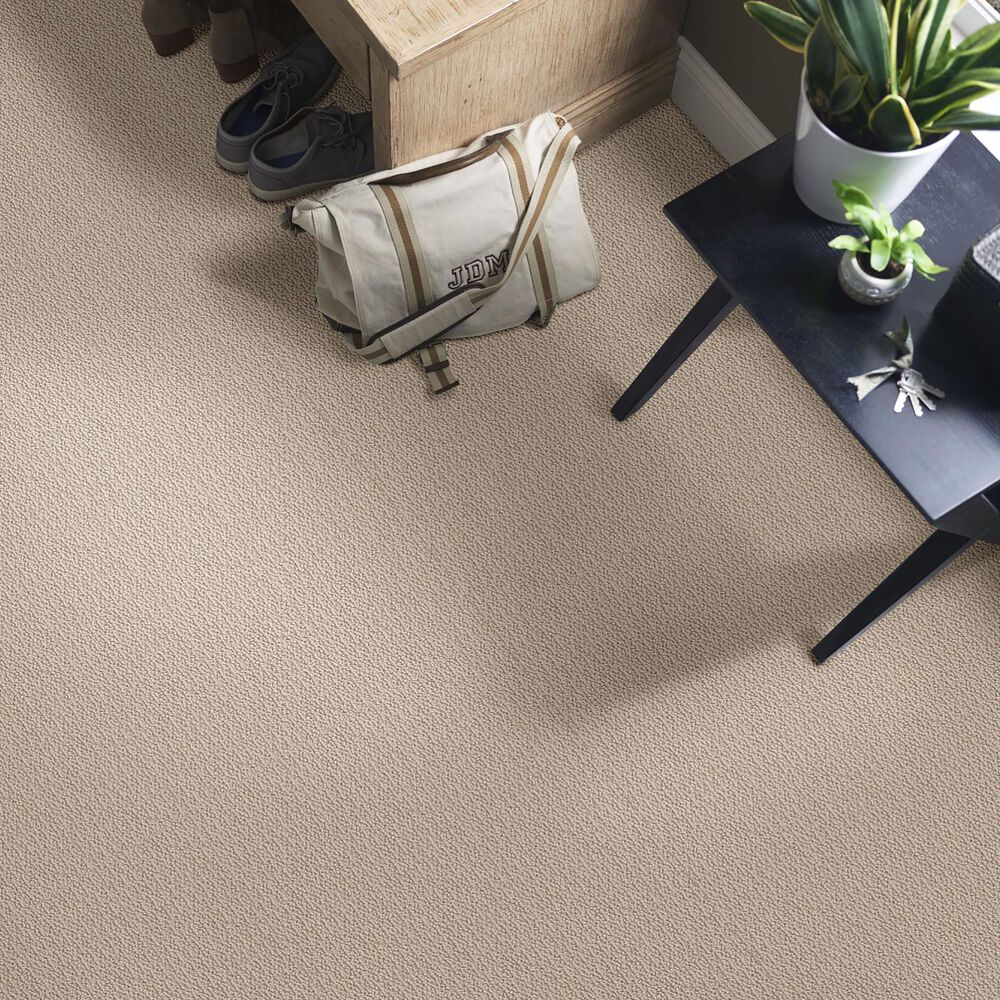 Shaw Loop De Loop Carpet in Natural Wood, , large
