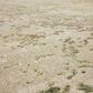 Karastan Memento Reflection 2"5" x 7"5" Beige Runner, , large