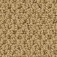 Anderson Tuftex Gracious Carpet in Summer, , large