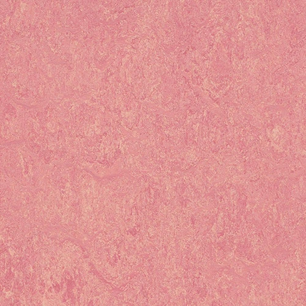 Forbo Marmoleum Cinch Loc Seal 12" x 12" Laminate Tile in Honey Suckle, , large