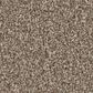 Shaw Imaginable II Carpet in Clay, , large
