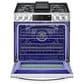 LG 6.3 Cu. Ft. Convection InstaView Dual Fuel Slide-In Range in Print Proof Stainless Steel, , large