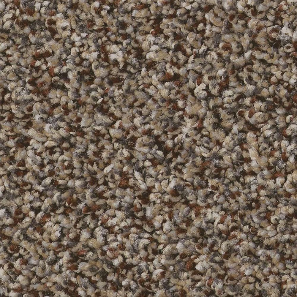 Shaw Renewed Energy I Carpet in Freckles, , large