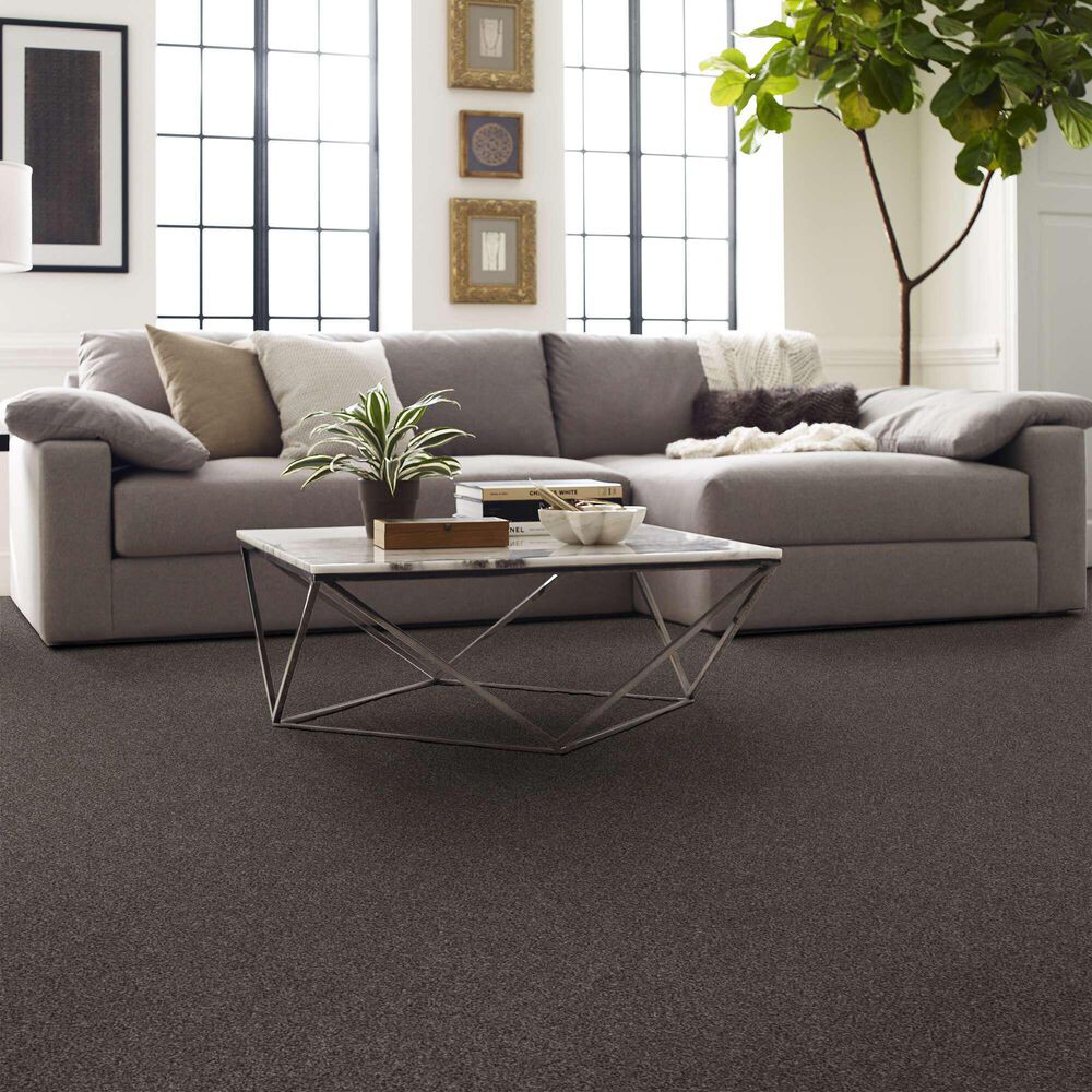 Shaw After It II Carpet in Anchor, , large