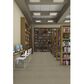 Shaw Multiplicity 18" x 36" Carpet Tile in Plethora, , large