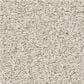 Shaw Tonal Comfort II Carpet in Champagne Toast, , large