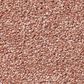 Shaw Find Your Comfort NS II Carpet in Open The Rose, , large