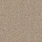 Anderson Tuftex Finery Carpet in Sand Bar, , large