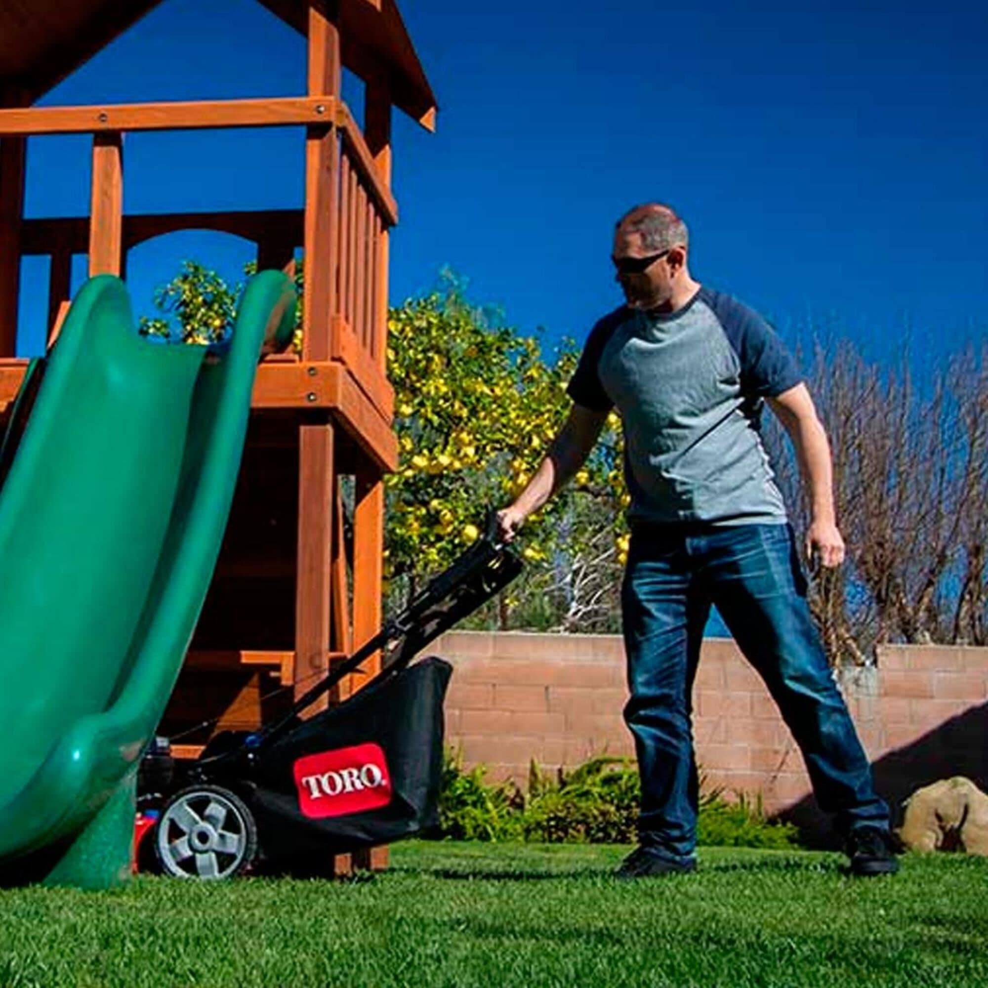 Toro lawn mower price cheap