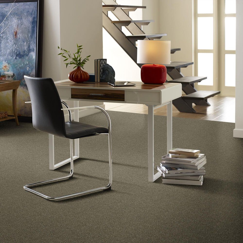 Shaw Simply the Best Attainable Carpet in Fox Hollow, , large