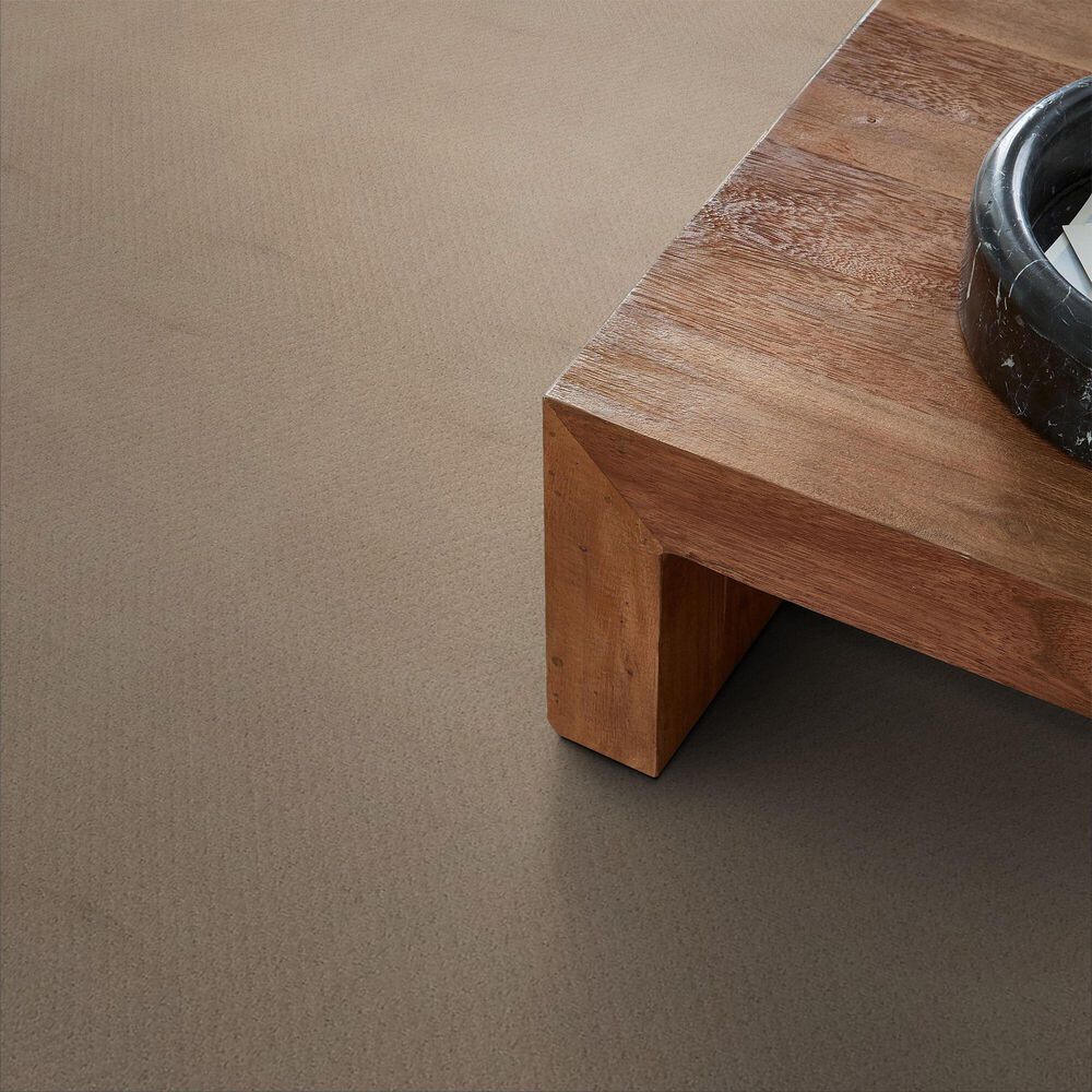 Anderson Tuftex West Fork Carpet in Terrazo, , large