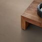 Anderson Tuftex West Fork Carpet in Terrazo, , large