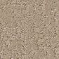 Shaw Canvas Comfort Blue Carpet in Walk on The Beach, , large