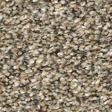Shaw Points Of Color II Carpet in Gold Rush , , large