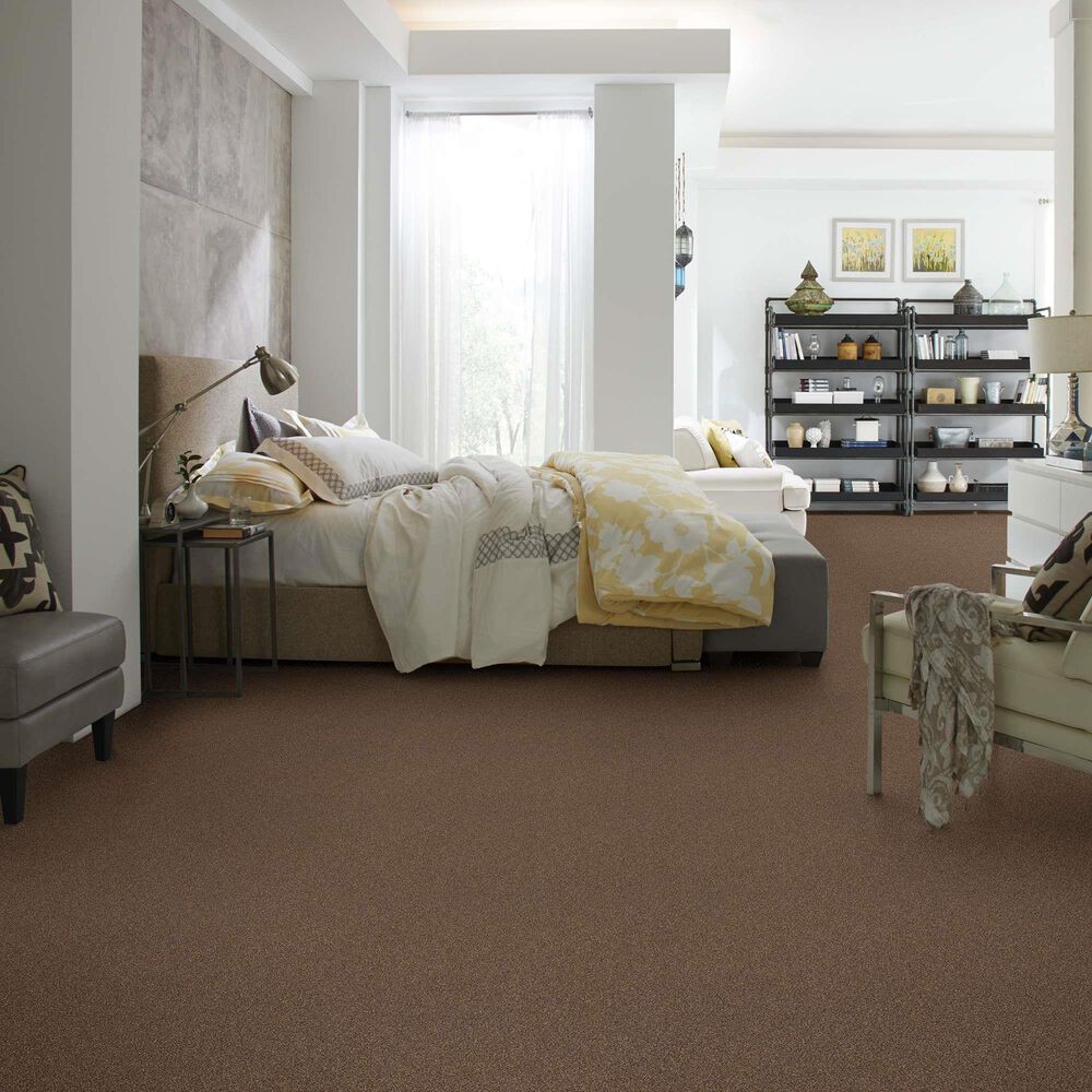 Anderson Tuftex Caress Cozy Harbor I Carpet in Raw Wood, , large